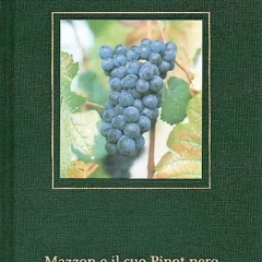 Mazzon e il suo Pinot nero