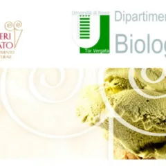 Gelatieri per il gelato comunicato