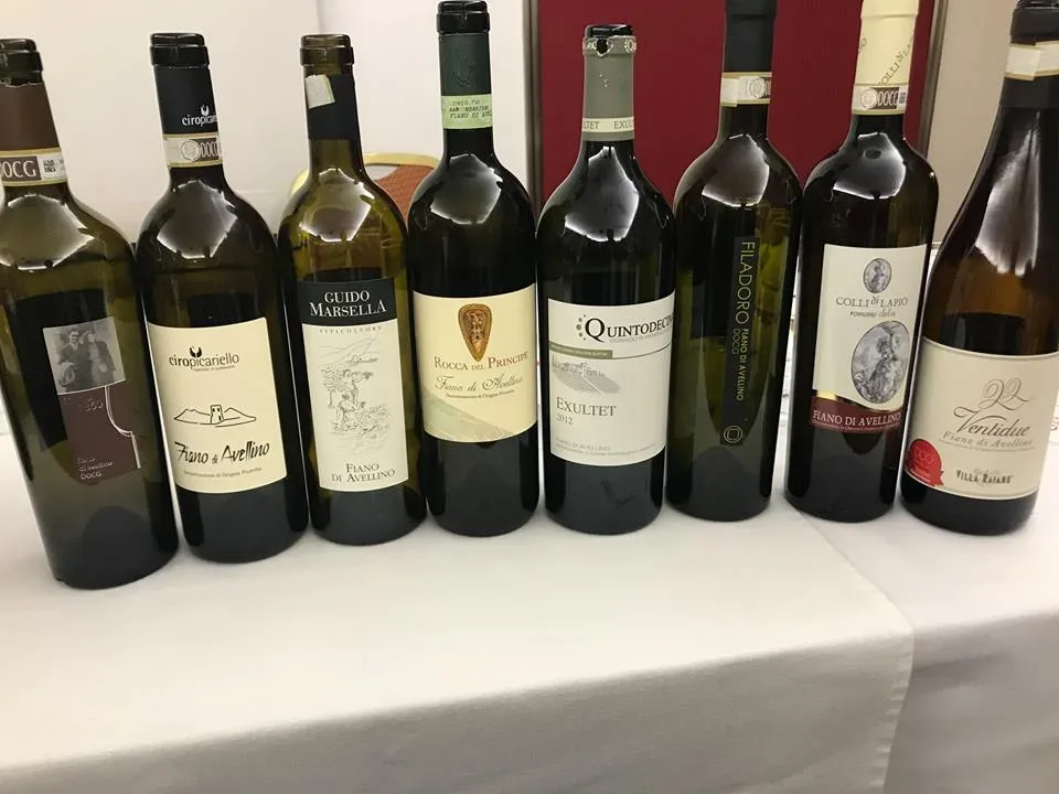 I Fiano di Avellino in degustazione alla serata Onav di Torino