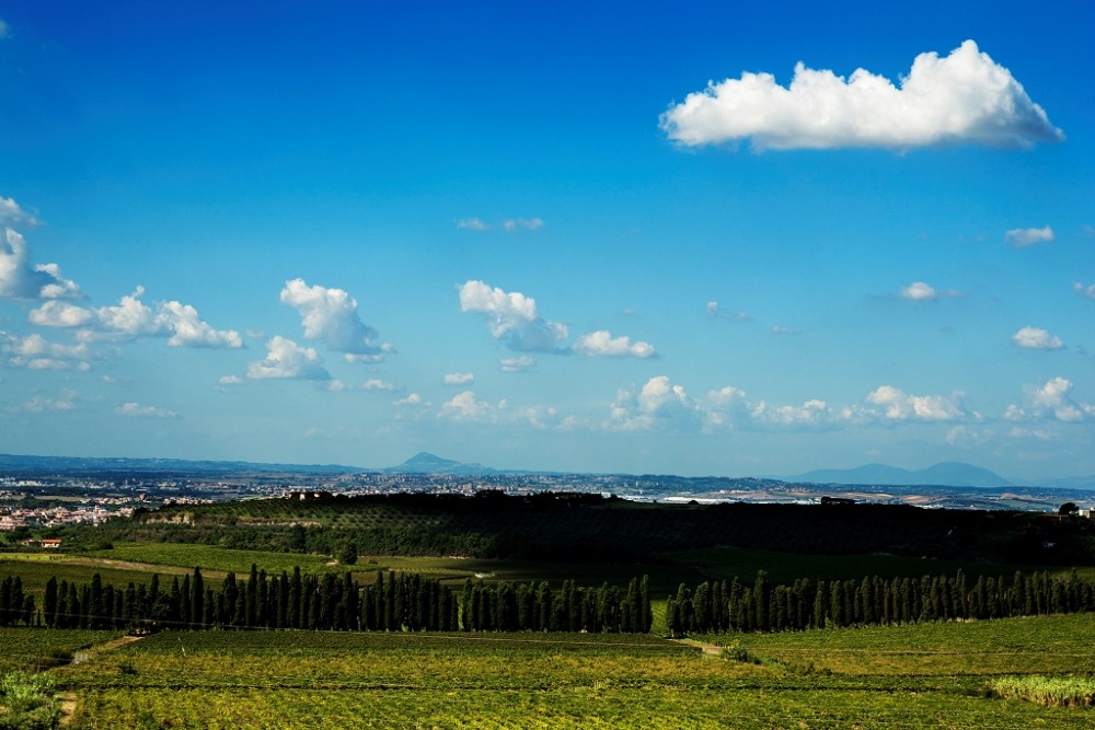 Merumalia, vista terrazza