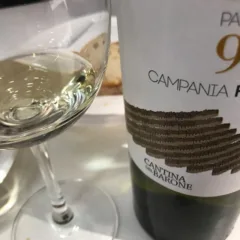 Particella 928 Fiano Cantina del Barone