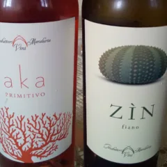 Vini Produttori Vini di Manduria