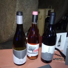 Vini di Palmento Costanzo