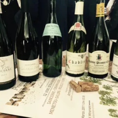 Dodici sfumature di Kimmeridge