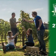 Movimento turismo del vino