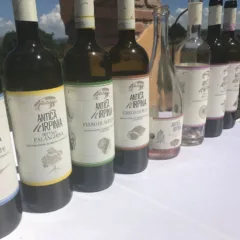 I vini di Antica Hirpinia