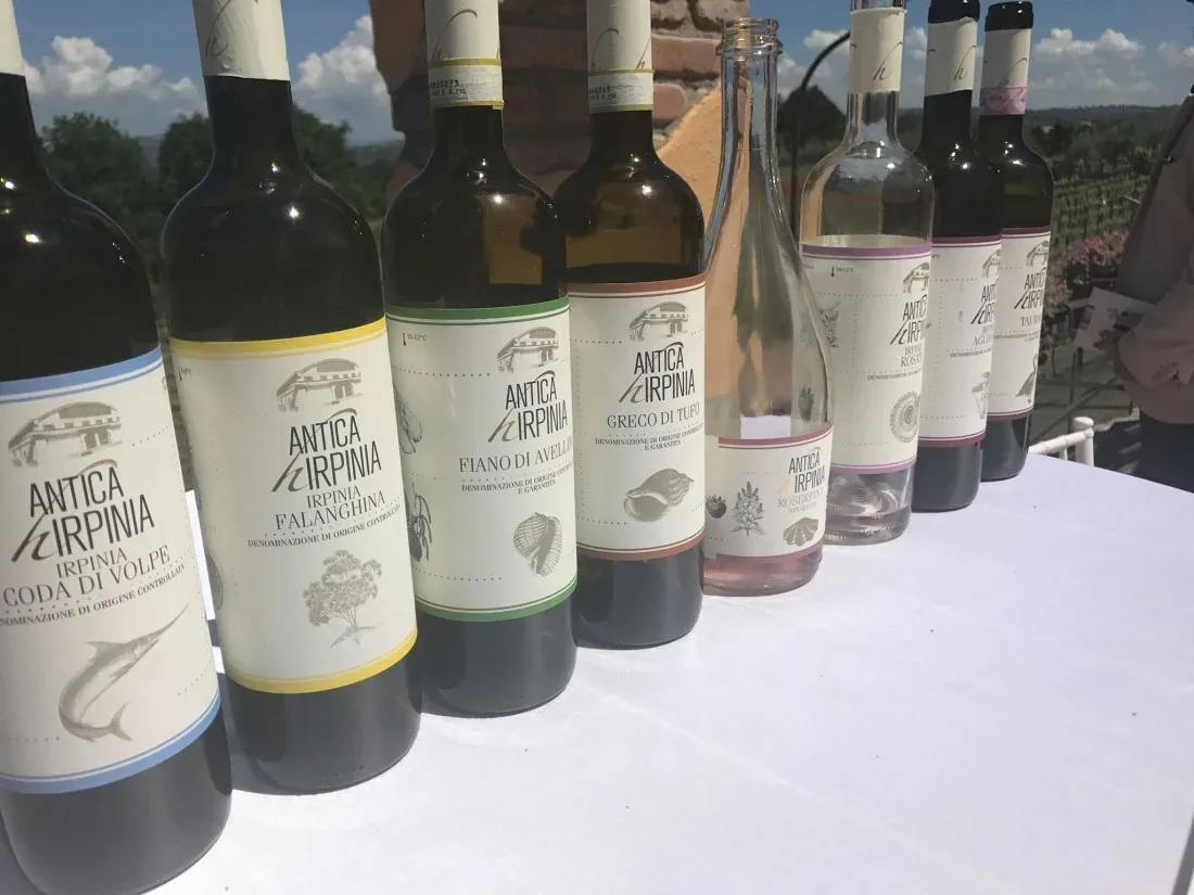 I vini di Antica Hirpinia