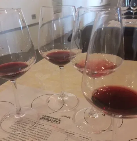 Degustazione di vari Ciliegiolo di diverse aziende