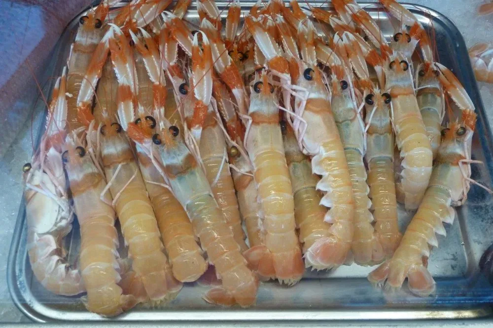 Scampi, scegliere quelli rosa chiaro nel carapace e nella testa, dovranno profumare di mare e di salsedine, avere le due chele ben salde e gli occhi neri come una donna del sud