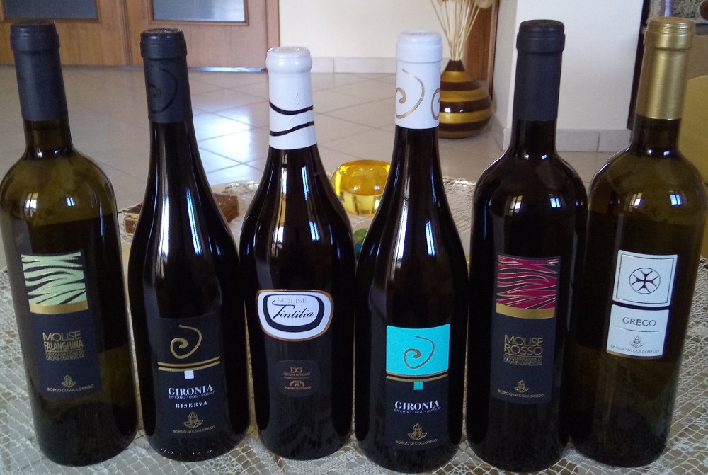 Vini di Borgo di Colloredo