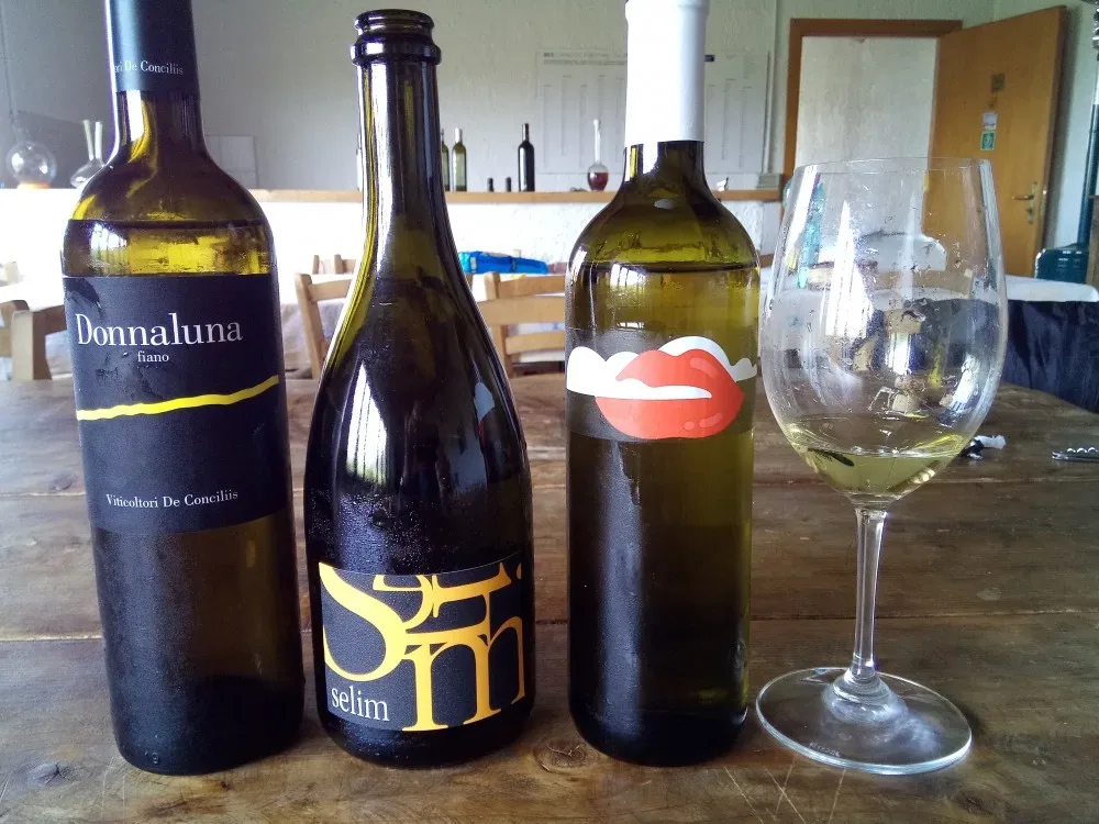 Vini di De Conciliis