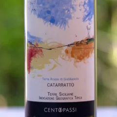 Catarratto 2012 – Centopassi