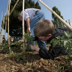 Quattro giorni sulle strade della Campania, orto