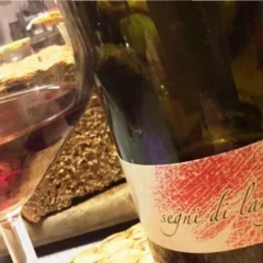 Segni di Langa pinot nero 2012