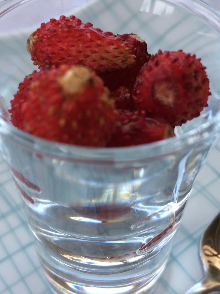 Stuzzichino, fragoline di Sant'Agata