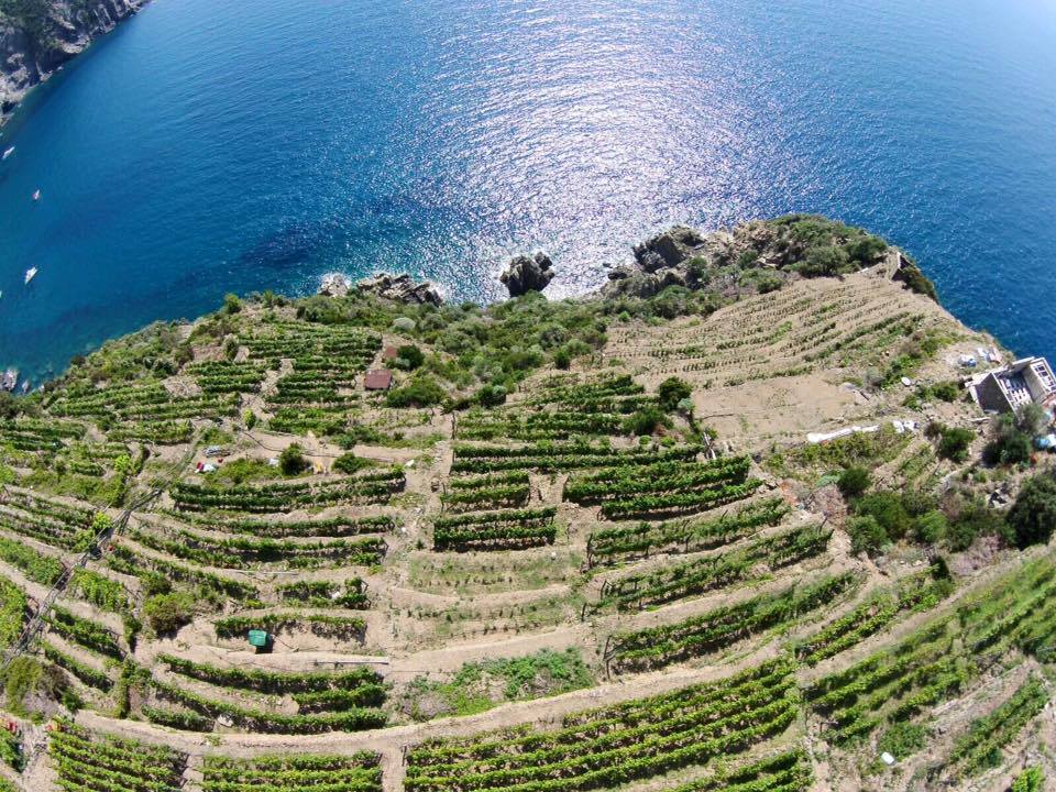 Costa de Se'ra - foto gentilmente concessa da Cantine Litan