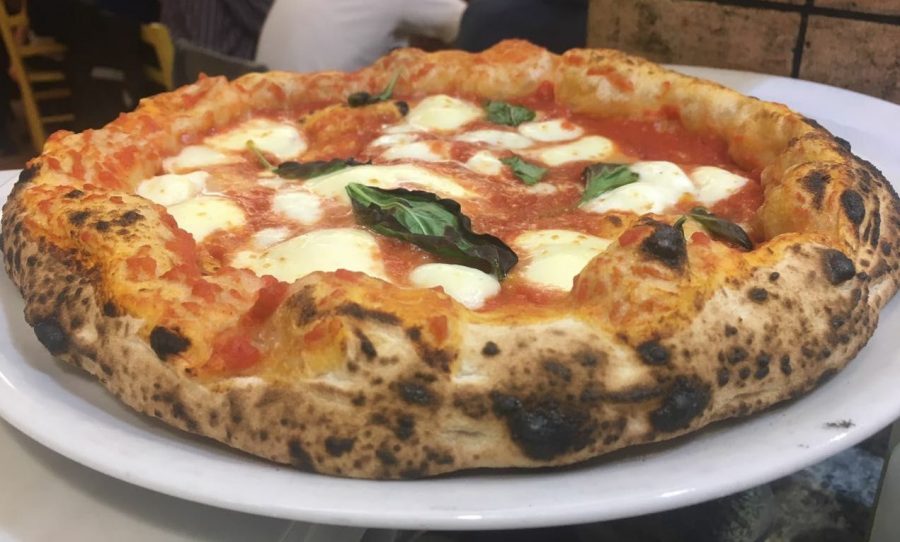 Gatta Mangiona, la margherita