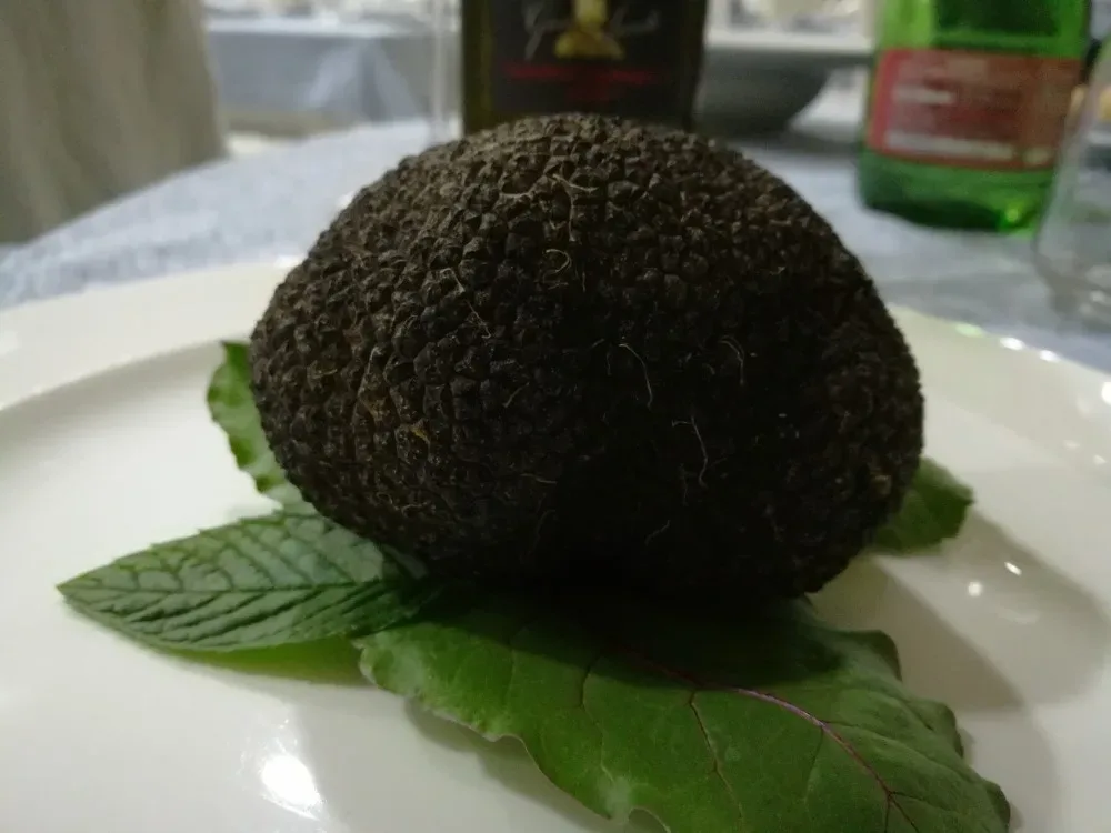 La taverna delle follie - Tartufo locale