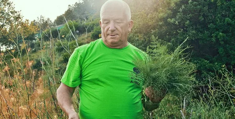 Liquorificio Nonna Anna, raccolta