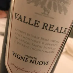 Vigne Nuove 2009 Montepulciano