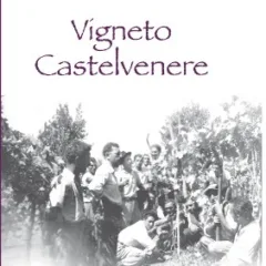 Gioventù vennerese tra le vigne - Metà anni '40
