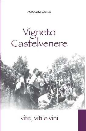 Gioventù vennerese tra le vigne - Metà anni '40