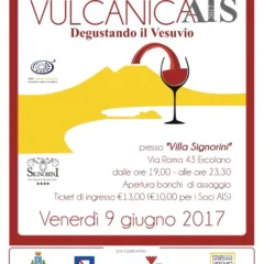 Vulcanicais-2017