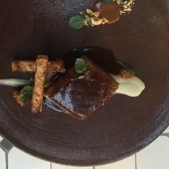 L'anatra di Faby Scarica