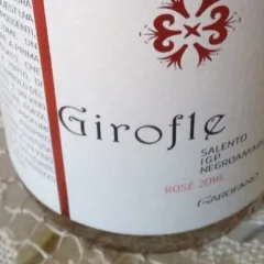 Girofle Negroamaro Rose' Salento Igp 2016 Garofano Vincitore a Radici del Sud 2017