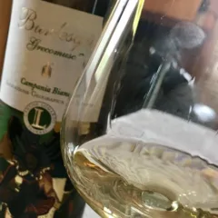 Grecomusc' Burlesque 2015