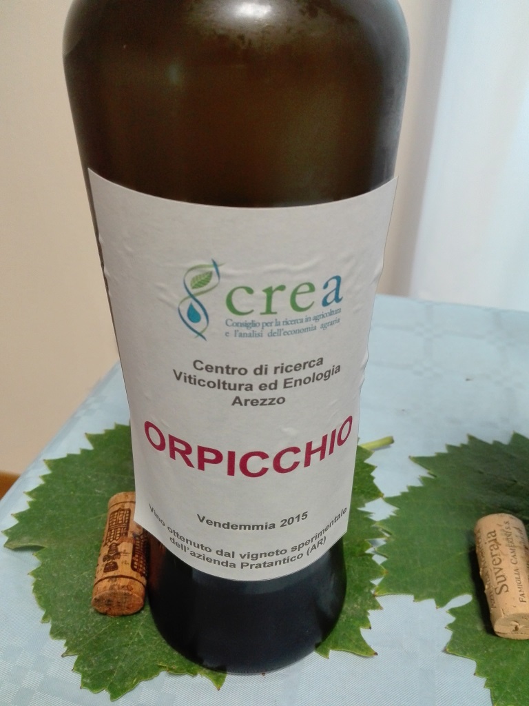 Orpicchio 2015