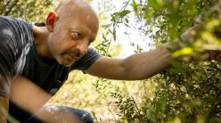 Pascucci al Porticciolo - Gianfranco raccoglie erbe selvatiche all'oasi WWF