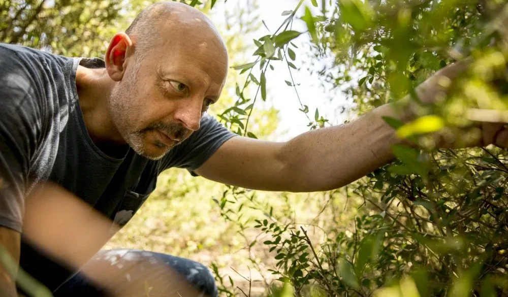 Pascucci al Porticciolo - Gianfranco raccoglie erbe selvatiche all'oasi WWF
