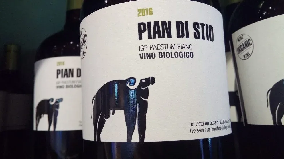 Pian di Stio Fiano Paestum Igp 2016 San Salvatore Vincitore a Radici del Sud 2017