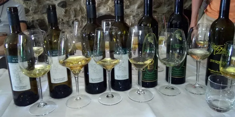 Verticale di Falanghina di Guido Marsella alla Cantinella sul Mare