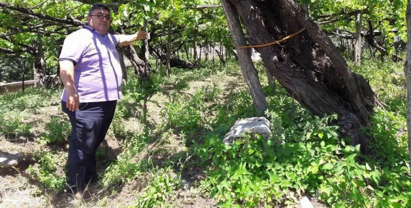 Gigino Reale e il tintore di Tramonti