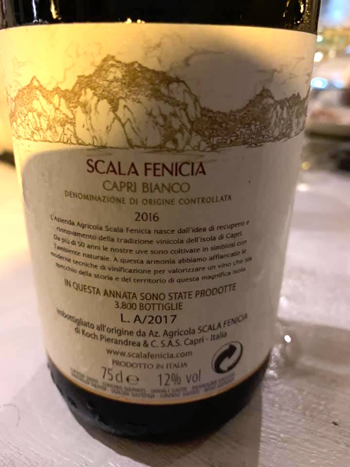 Scala Fenicia 2016