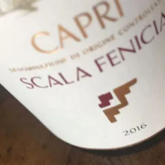 Scala Fenicia 2016