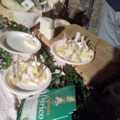 Tirone delle Eccellenze - Tenuta Chirico