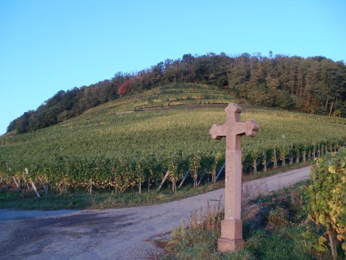 Un tuffo in Alsazia - Vendanges