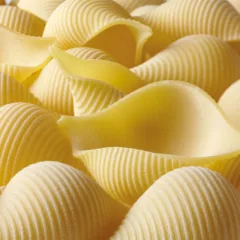 Festa della Pasta - conchiglioni