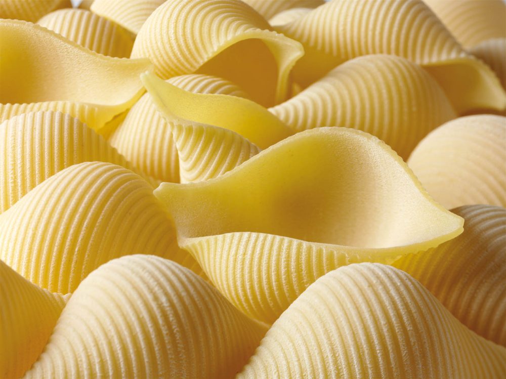 Festa della Pasta - conchiglioni