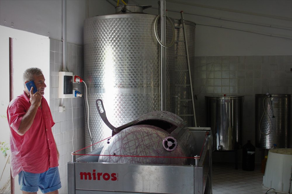 Masseria Piccirillo – Carmine in cantina