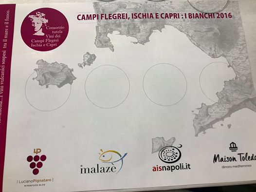 La degustazione dei vini dei Campi Flegrei