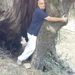 Carlo Sacchi mentre abbraccia l'albero di ulivo ultramillenario
