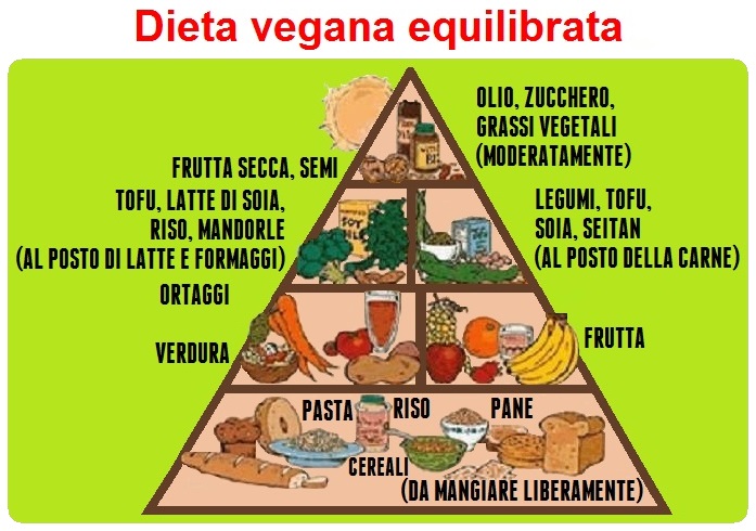 Che cosa non può mangiare il vegano?