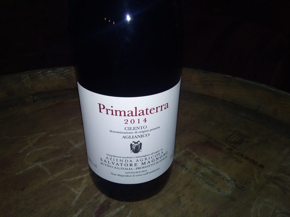 Primalaterra Cilento Aglianico Dop 2014 Salvatore Magnoni