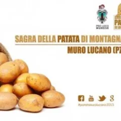 Sagra della patata di montagna di Muro Lucano
