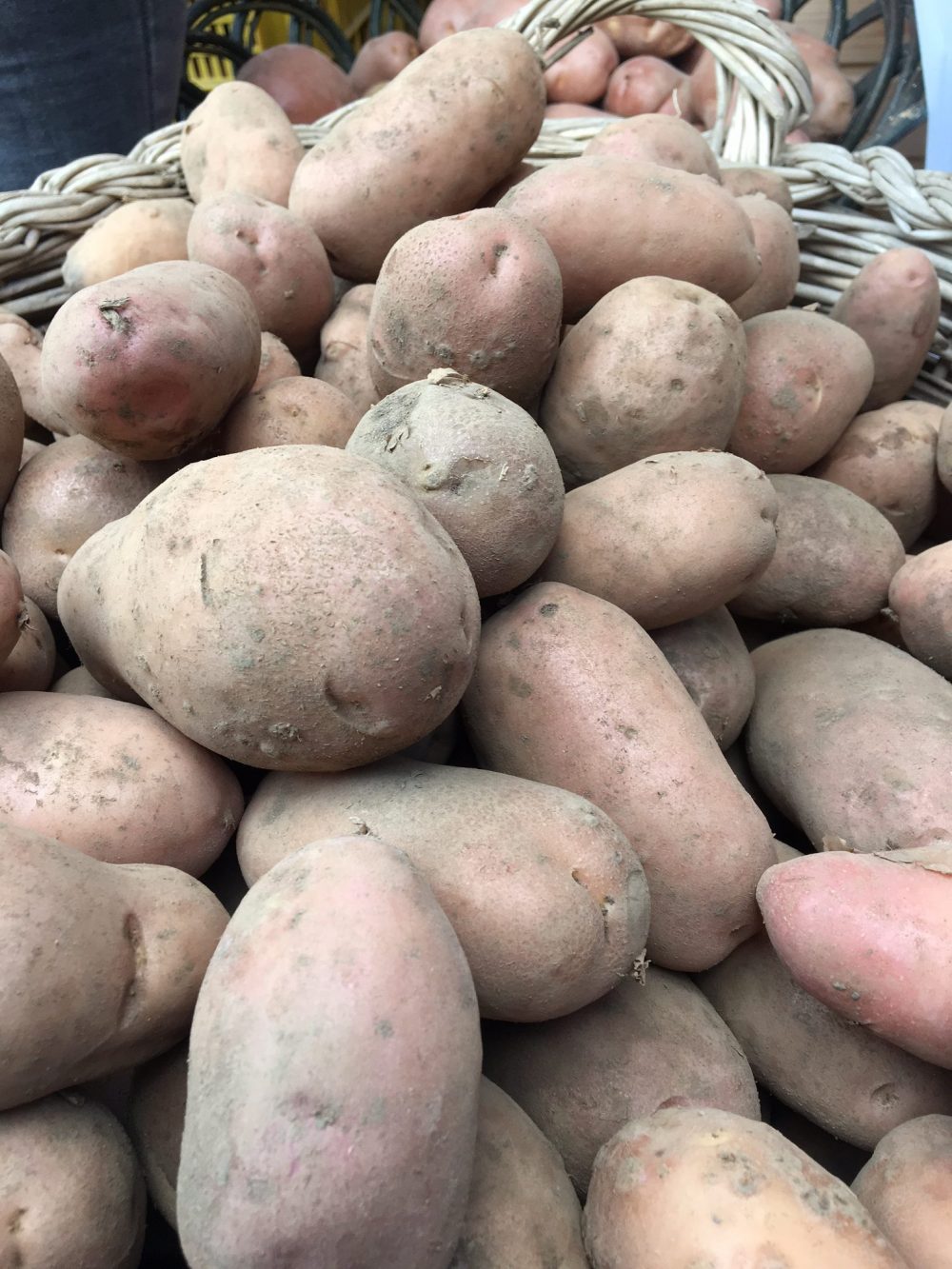 Taburno experience - Le patate