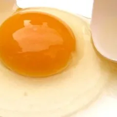 Tuorlo e albume d'uovo